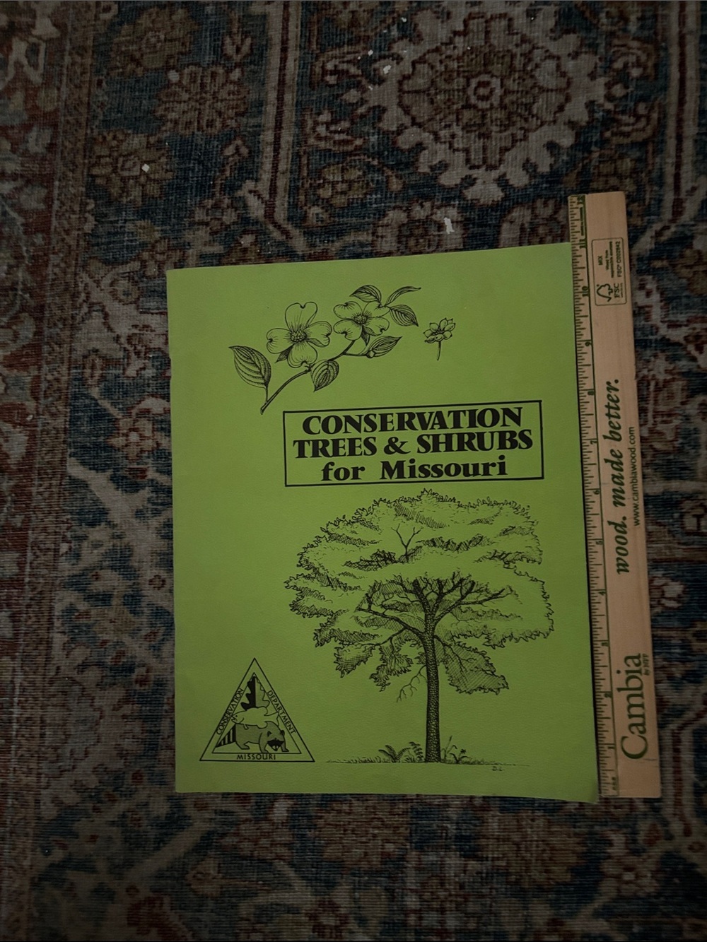 Conservation Trees & Shrubs for Missouri — Lime Green Guide